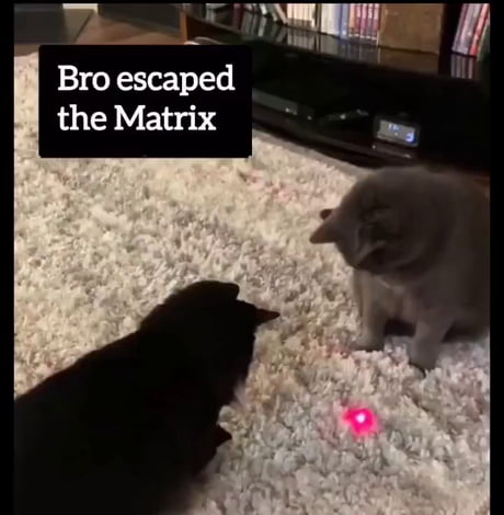 The illusion is broken