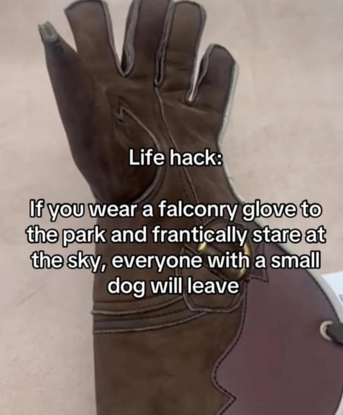 Byeeeeeeeeee