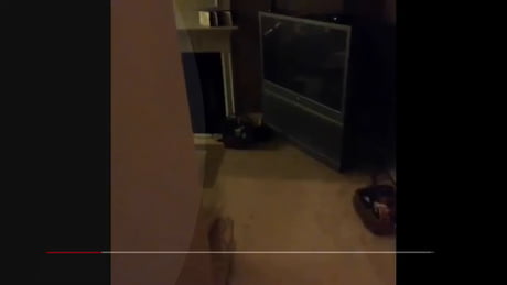 Vine you might have forgotten