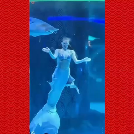 Fish: Om nom nom