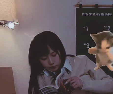 Japanese student continue studying and listening to lofi hip hop during an earthquake, her cat cheering her up