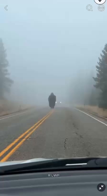 This is how Bigfoot myth was born