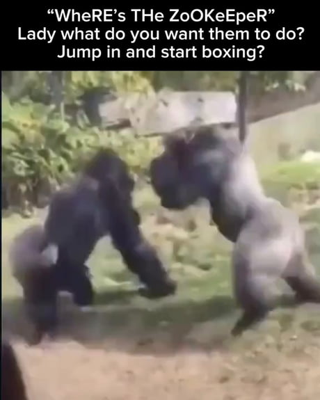 Who needs 100 strongmen when you got a Zookeeper