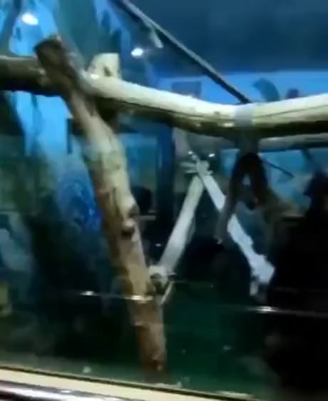 Let's skip the pick-up lines