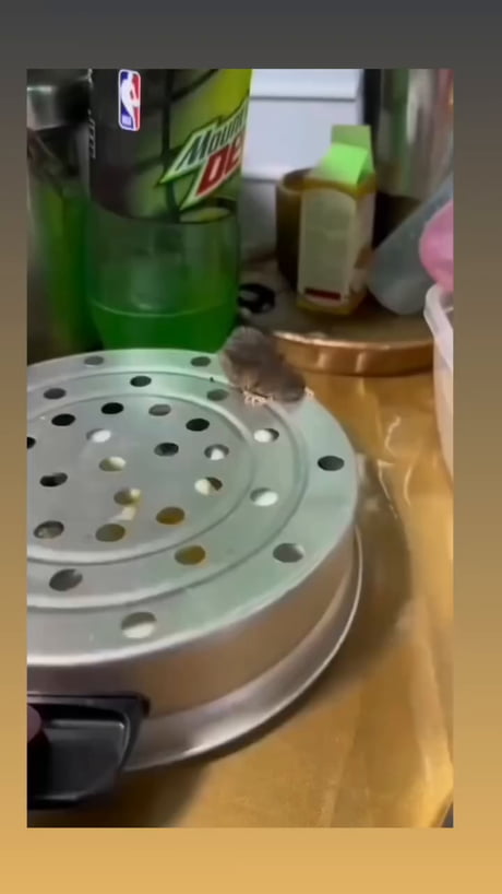 He knew he f**ked up