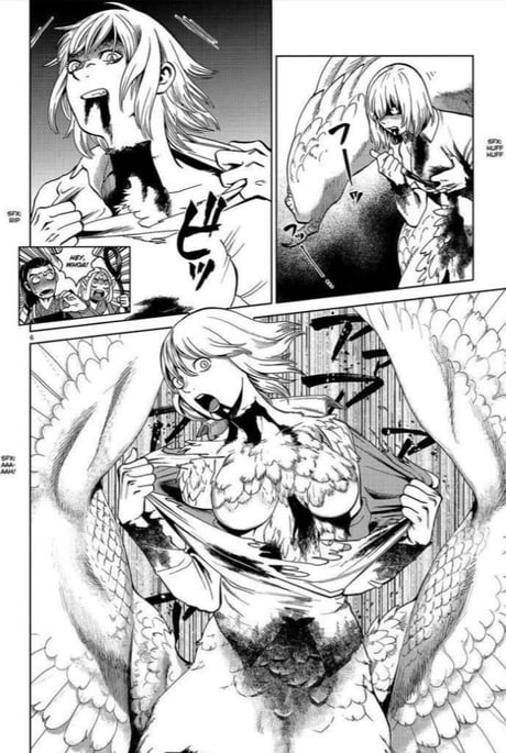 Monster Musume Manga