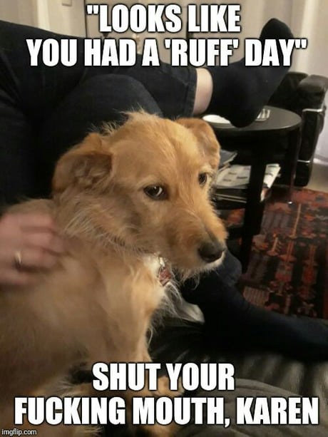 Dog The Best Friend Quotes Karen Memes Funny Animal Memes