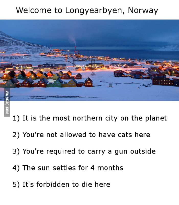 top-of-the-world-9gag