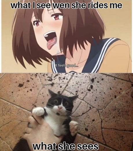 Cat girls when? - Weebs and Their Memes