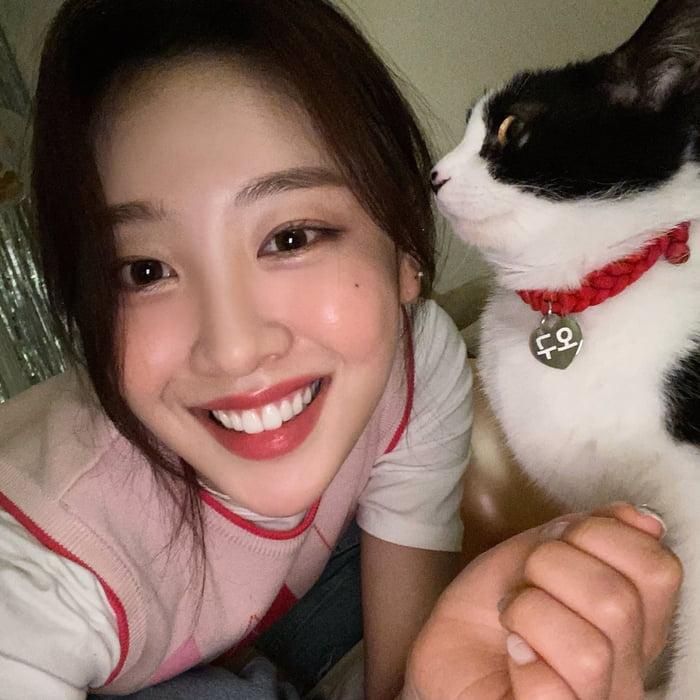 Photo : Yves ft. a cat