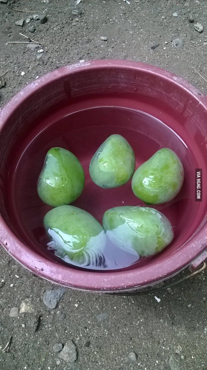 Friend offered me his 'mango float' - 9GAG