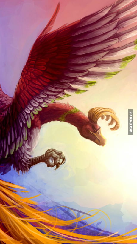 Lucky Shiny Ho-oh looks so majestic! - 9GAG