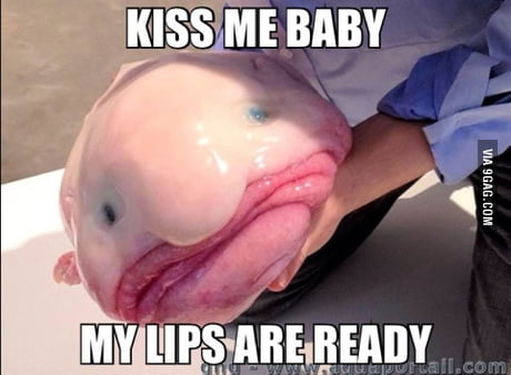 Kiss Me Baby 9gag