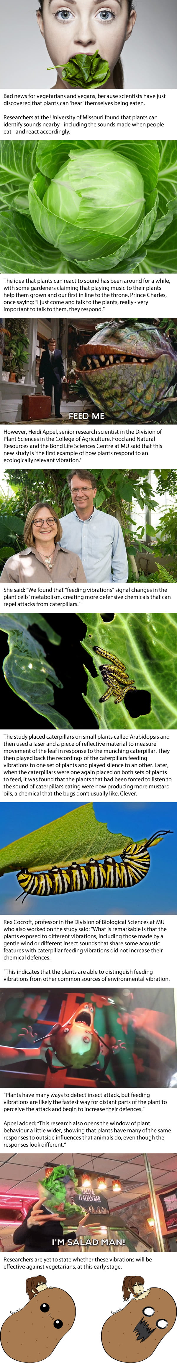 Bad news for vegetarians! Plants can ‘hear’ themselves being eaten - and become defensive when attacked