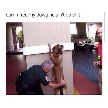 Free My Dawg Bro 9gag