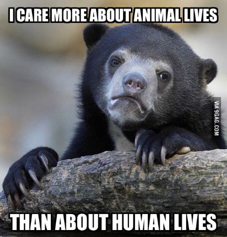 I get really pissed off when I see news about people killing animals to  save people, in all honesty - 9GAG