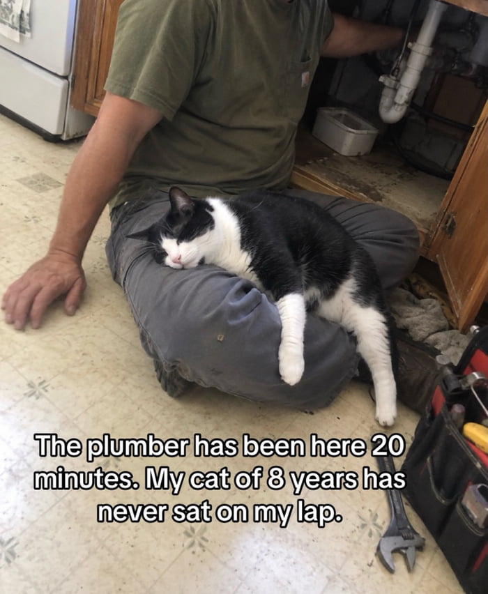 Ultimate betrayal caught on camera