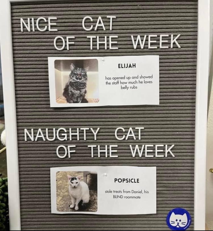 I can’t. I just can’t. Yes I can Heil Kitler!