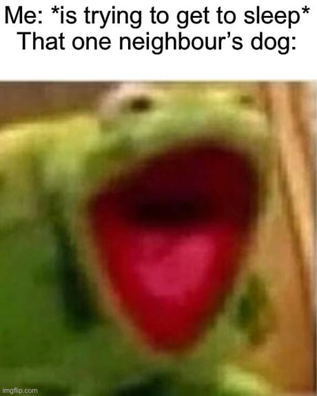 kermit the dog meme