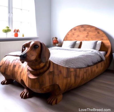 Dachshund bedding 2025 for humans