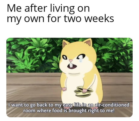 Easy Easy Life Memes One Does Not Simply Meme Imgflip