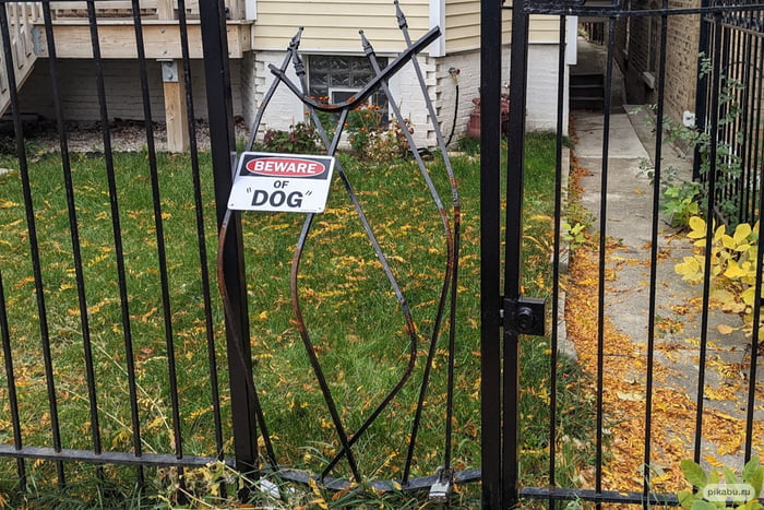 Beware of dog