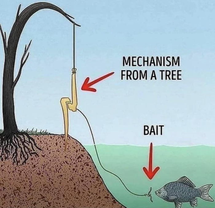 Tree fish catching mechanism. 9GAG