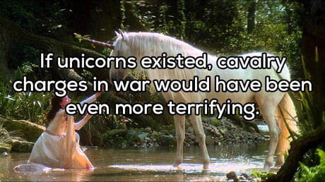 Shower thoughts about unicorns