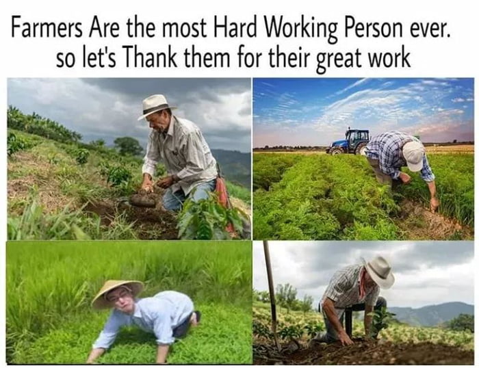 More harder. The most hard-working. Пример с most hardworking. Farmers work hard to produce good food ответы. A Farmer is working.