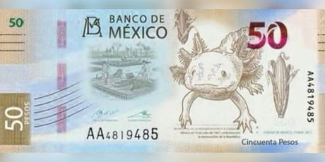 Mexican 50 Note Will Have A Pokemon Axolotl 9gag