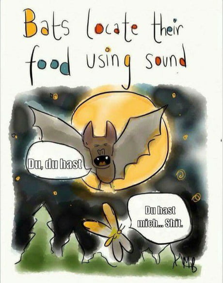 Du Hast Mich Gefragt 9gag