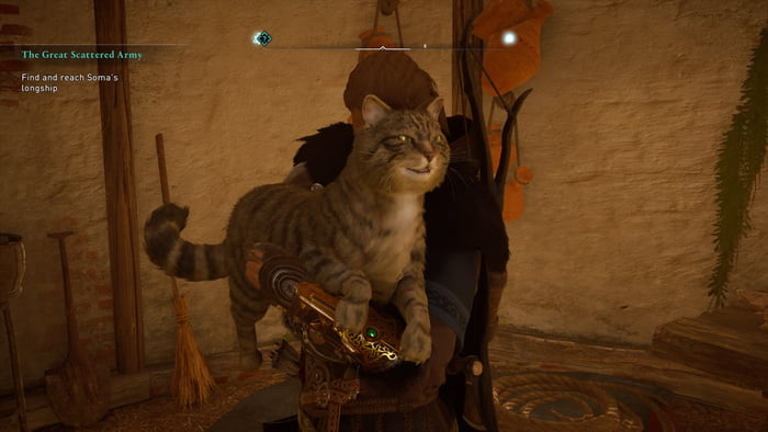 Assassins Creed Valhallas Cats Are Incredibly Huge Gag