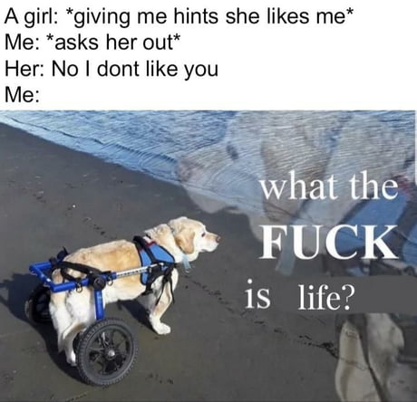 The f**k am I supposed to feel