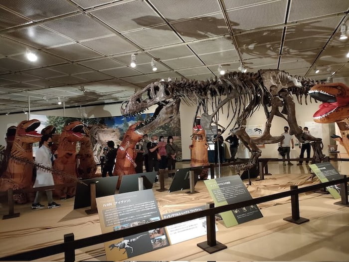 tyrannosaurus exhibition