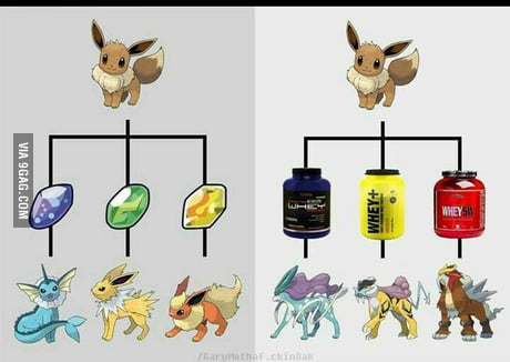 Pokemon Go Eevee evolutions explained