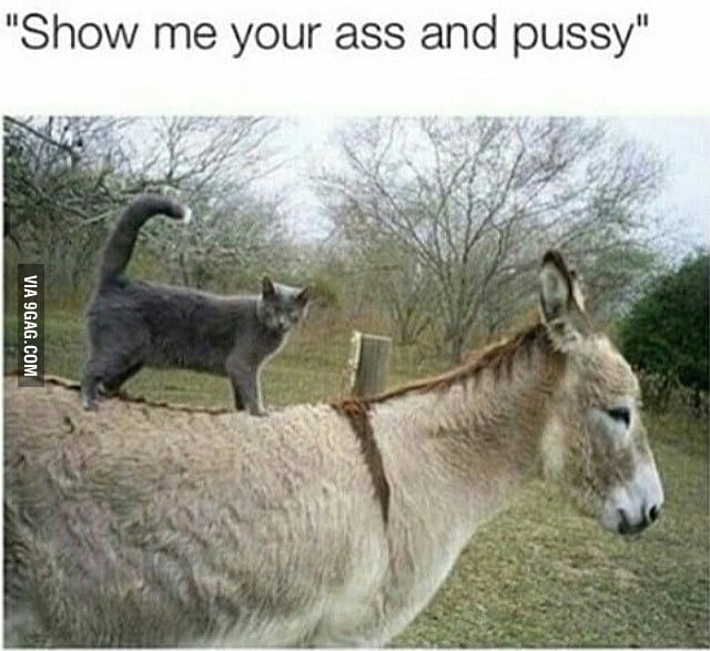 Show Me Your Ass And Pussy 9gag 2686