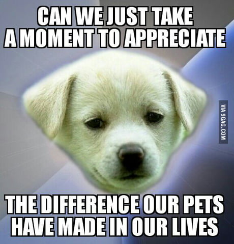 I Sometimes Miss My Dog Really Bad Because We Had To Give Him Up When I Was 11 9gag