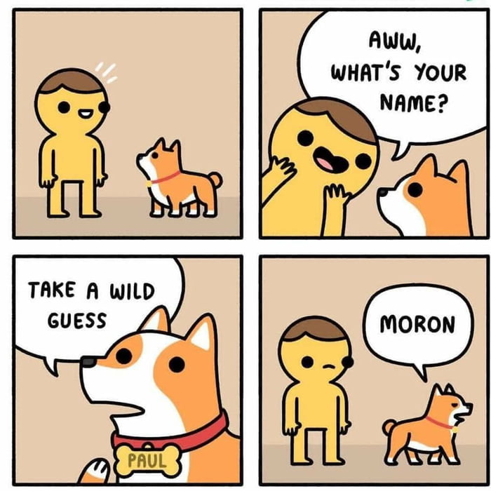 Paul.. is it?
