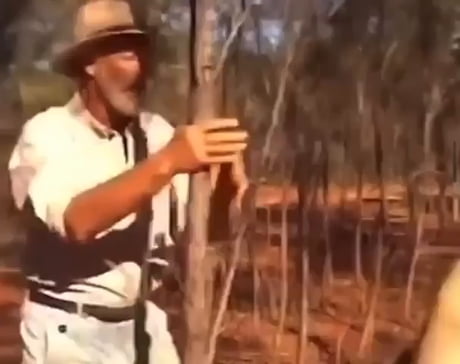 The only way to win a fight with a kangaroo