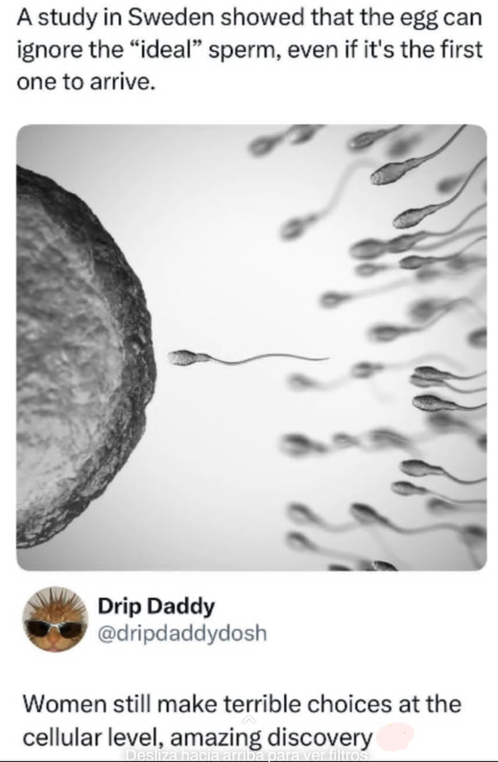 Woman's egg: Omg, I have boyfriend!