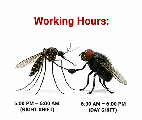 Best Funny fly Memes - 9GAG