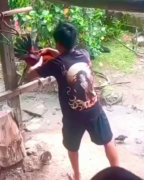 IT'S THE THRILL OF THE FIGHT