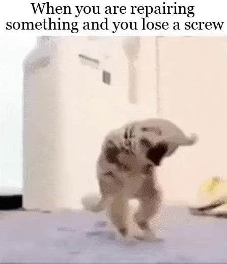 I saw it fall right there, but it somehow bounced into some parallel dimension and disappeared forever.