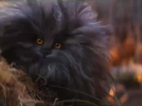 [Indian dub] The Dark Crystal