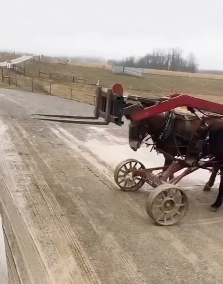 Amish forklift certified...