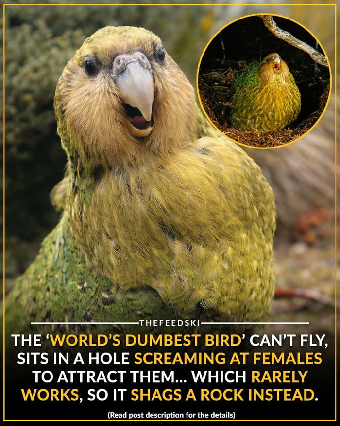 Wait..sounds familiar...