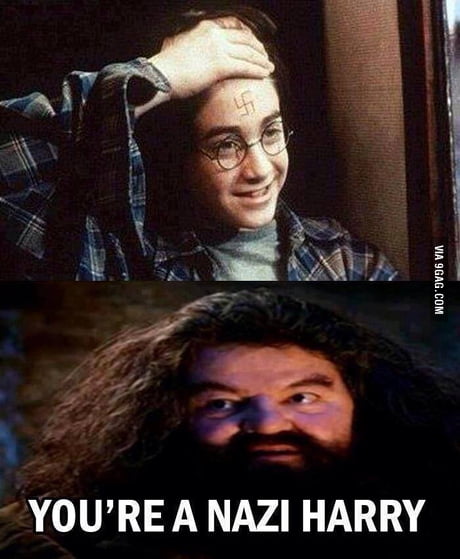 Harry Potter and the Chamber of Memes 