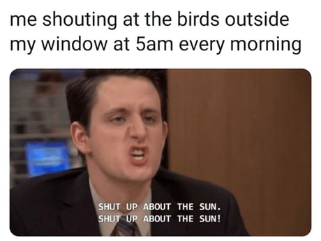 Tweet Tweet F King Sun 9gag