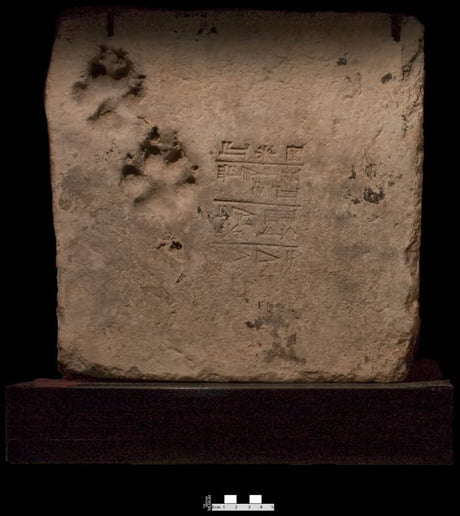 Clay brick with footprint of a cat paws, Ur 2112 BC – 2004 BCE