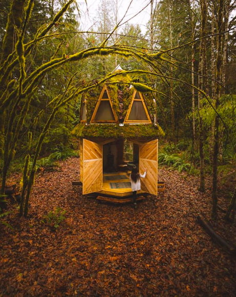 What fairytale did you come from? Seattle, WA.